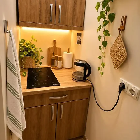 Cozy Pylimo 8a Apartment